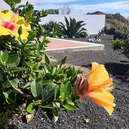 Country house Loft La Tahonilla