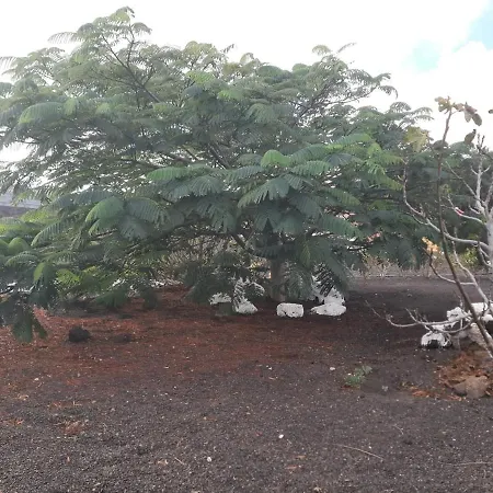 Loft La Tahonilla Country house Tias