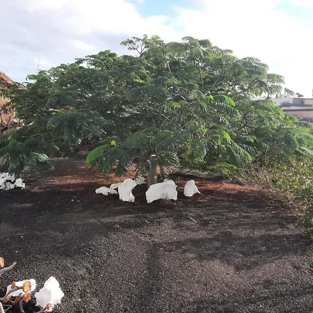 Loft La Tahonilla Country house *