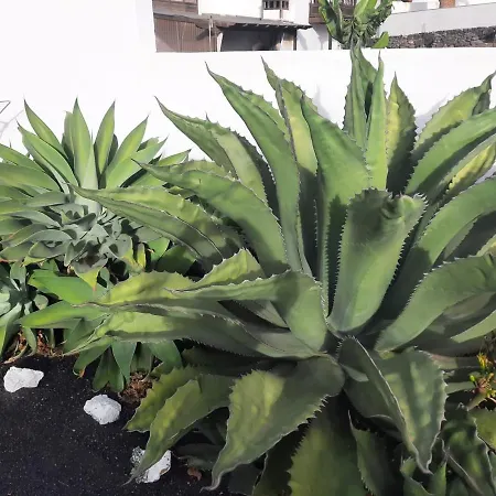 Летний дом Loft La Tahonilla *