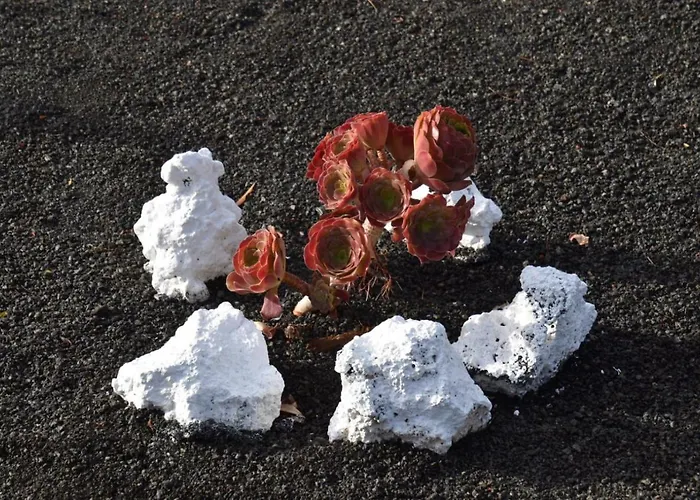 Country house Loft La Tahonilla *