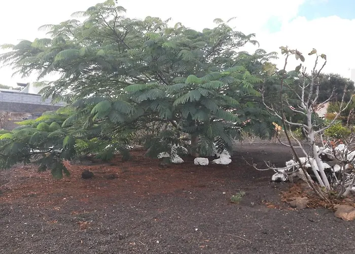 Loft La Tahonilla Country house Tias