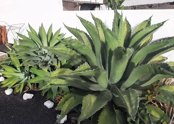 Country house Loft La Tahonilla *