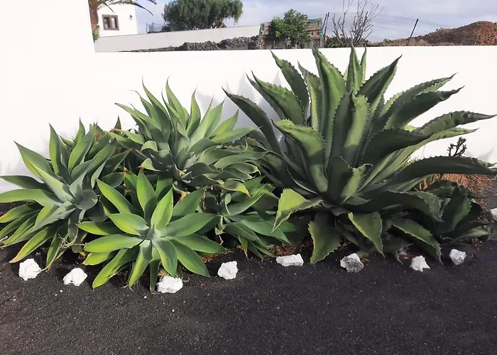 Loft La Tahonilla * Tias