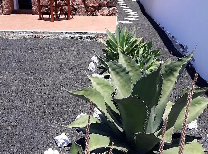 Loft La Tahonilla Country house *