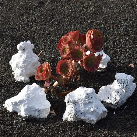 컨트리하우스 Loft La Tahonilla *