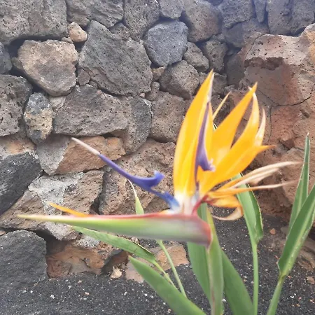 Loft La Tahonilla 컨트리하우스 티아즈