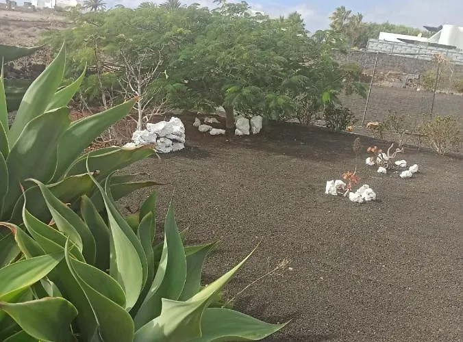 Loft La Tahonilla Lantställe *