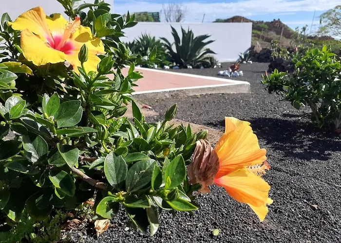 Lantställe Loft La Tahonilla