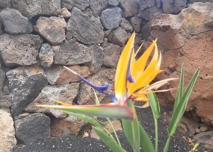 Loft La Tahonilla Εξοχικό σπίτι Tías