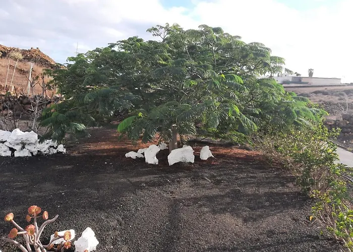 Loft La Tahonilla Lantställe *