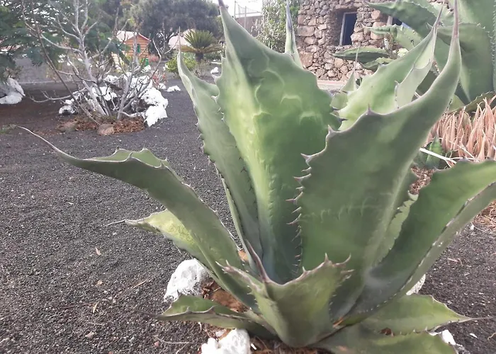 Εξοχικό σπίτι Loft La Tahonilla *